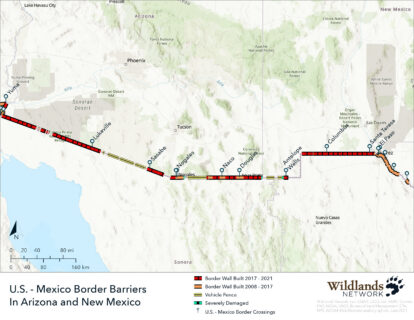 Mapping the Border Wall in Arizona and New Mexico - Wildlands Network