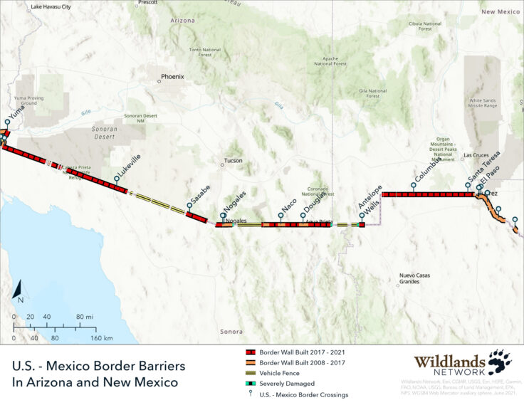 Mapping the Border Wall in Arizona and New Mexico - Wildlands Network