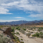 The Jacumba Wilderness in Imperial County, California before US-Mexico border wall construction, showing undivided desert habitat used by Peninsular bighorn sheep.