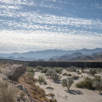 A 30-foot steel border wall cuts through the Jacumba Wilderness, fragmenting critical habitat for endangered Peninsular bighorn sheep.